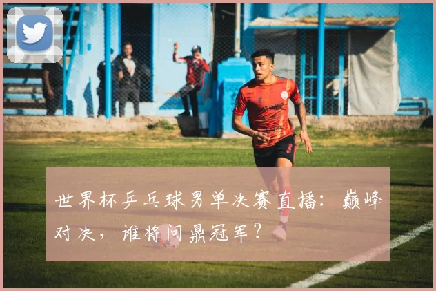 世界杯乒乓球男单决赛直播：巅峰对决，谁将问鼎冠军？